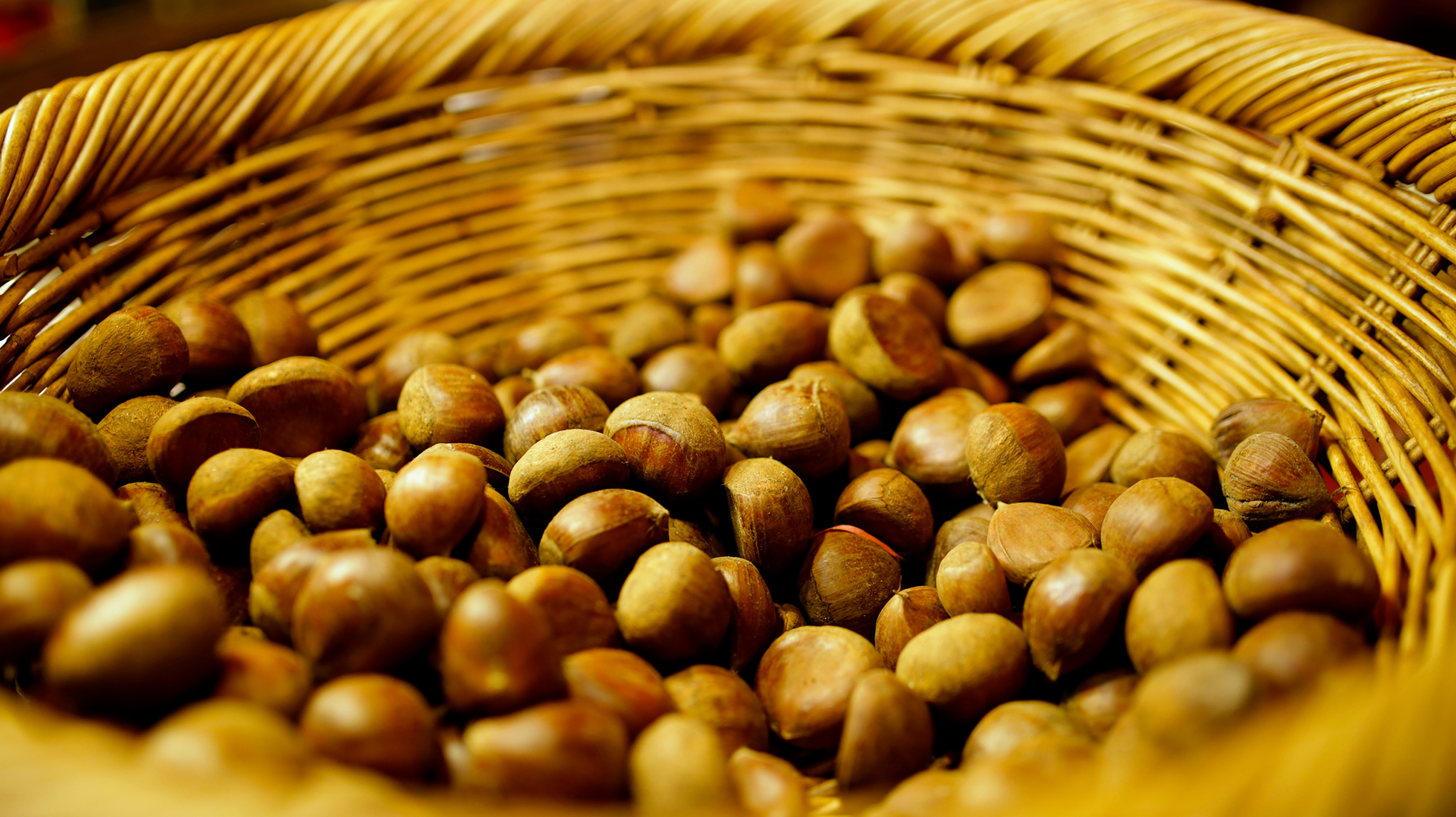 Roasted Nuts _ Bak2Buks Media